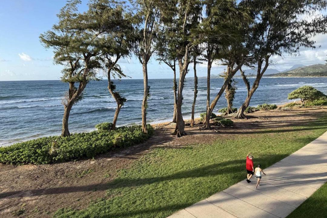 Photo of Others in Wailua