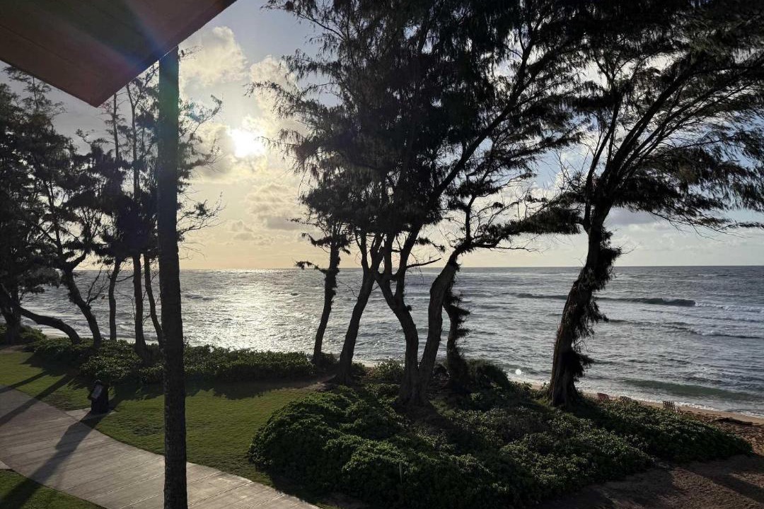 Photo of Others in Wailua