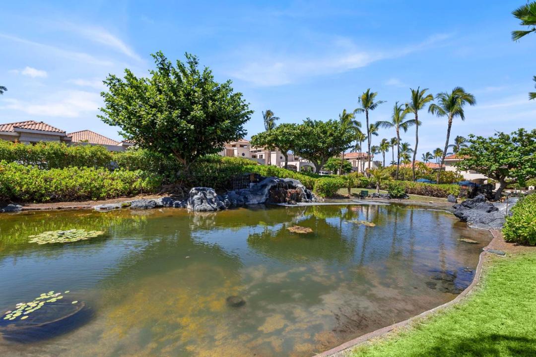 Photo of Others in Waikoloa