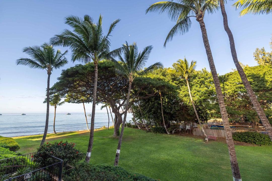 Photo of Others in Kihei
