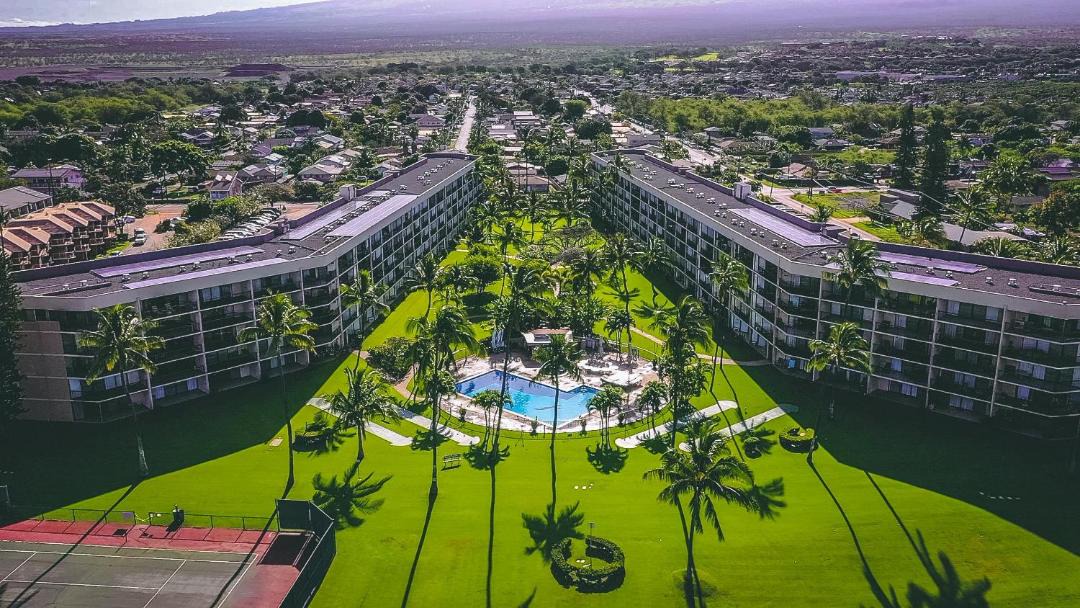 Photo of Others in Kihei