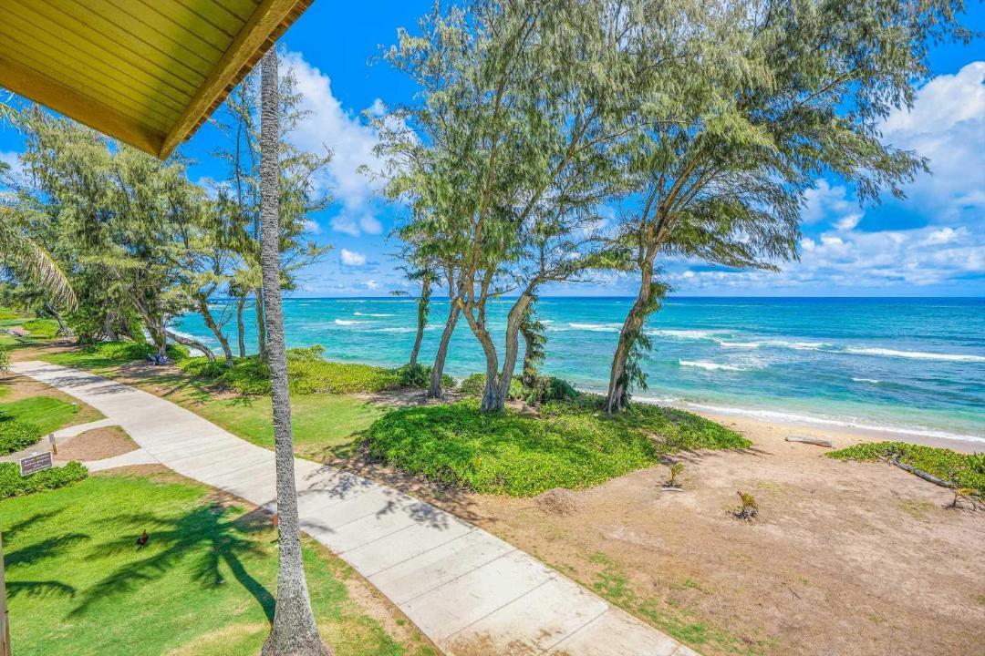Photo of Others in Wailua