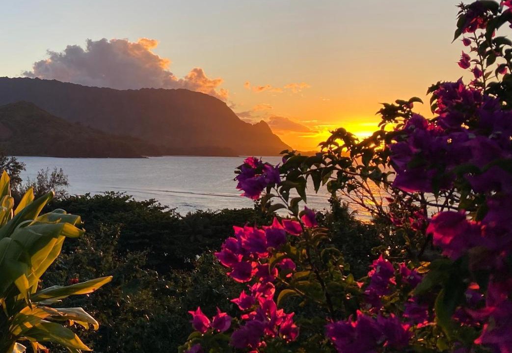 Photo of Others in Princeville