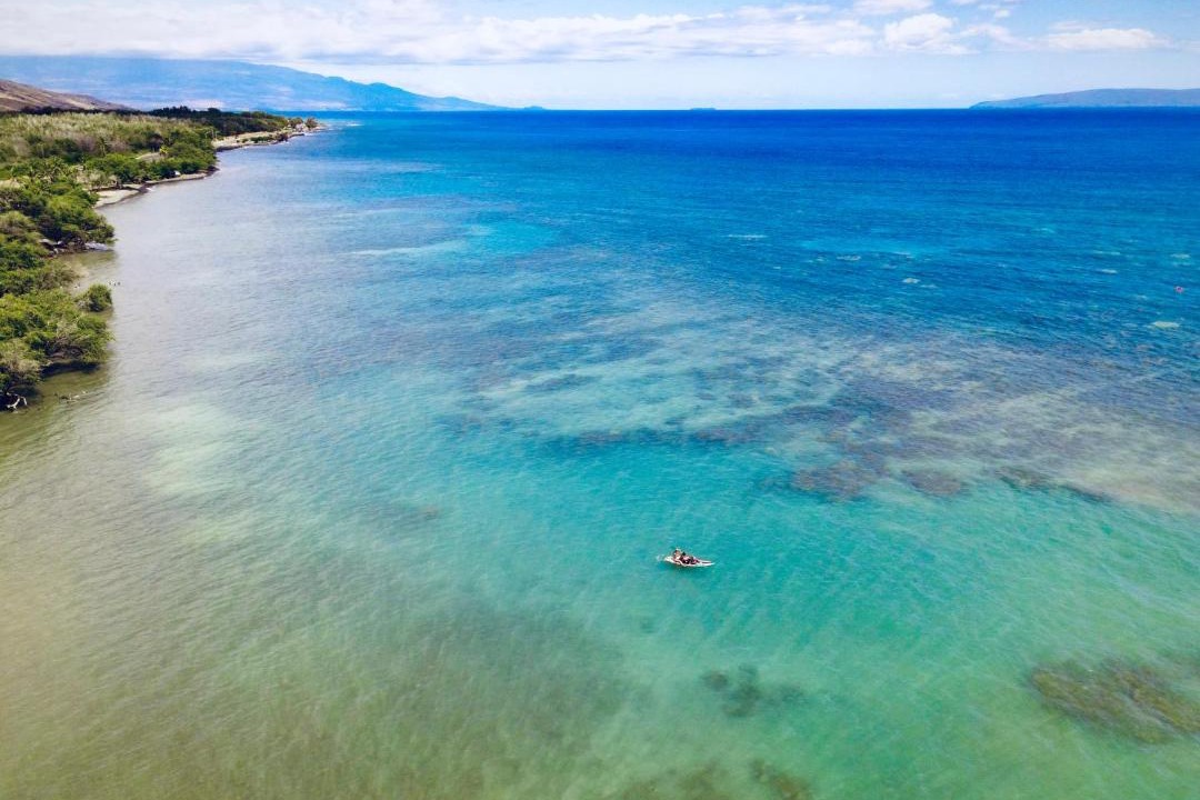 Photo of Others in Paia