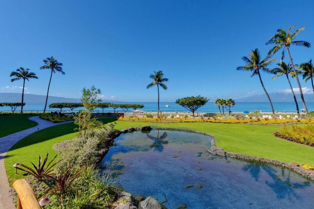 Photo of Others in Kaanapali