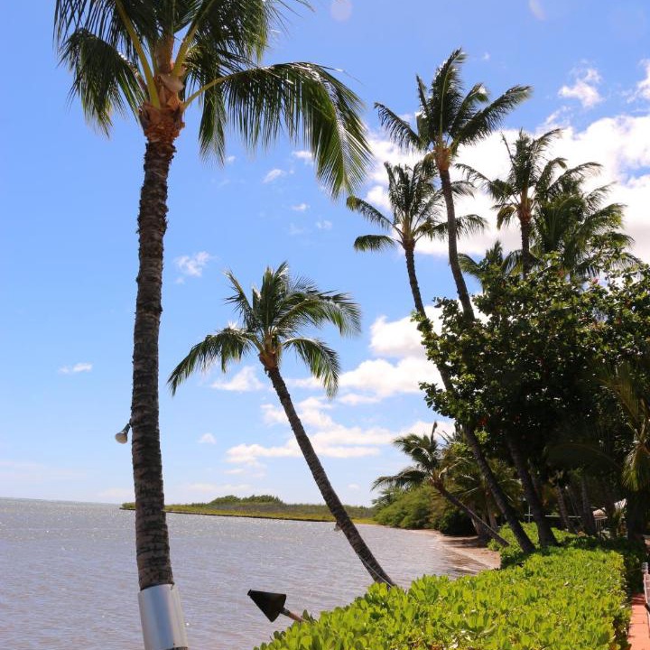Photo of Others in Kaunakakai
