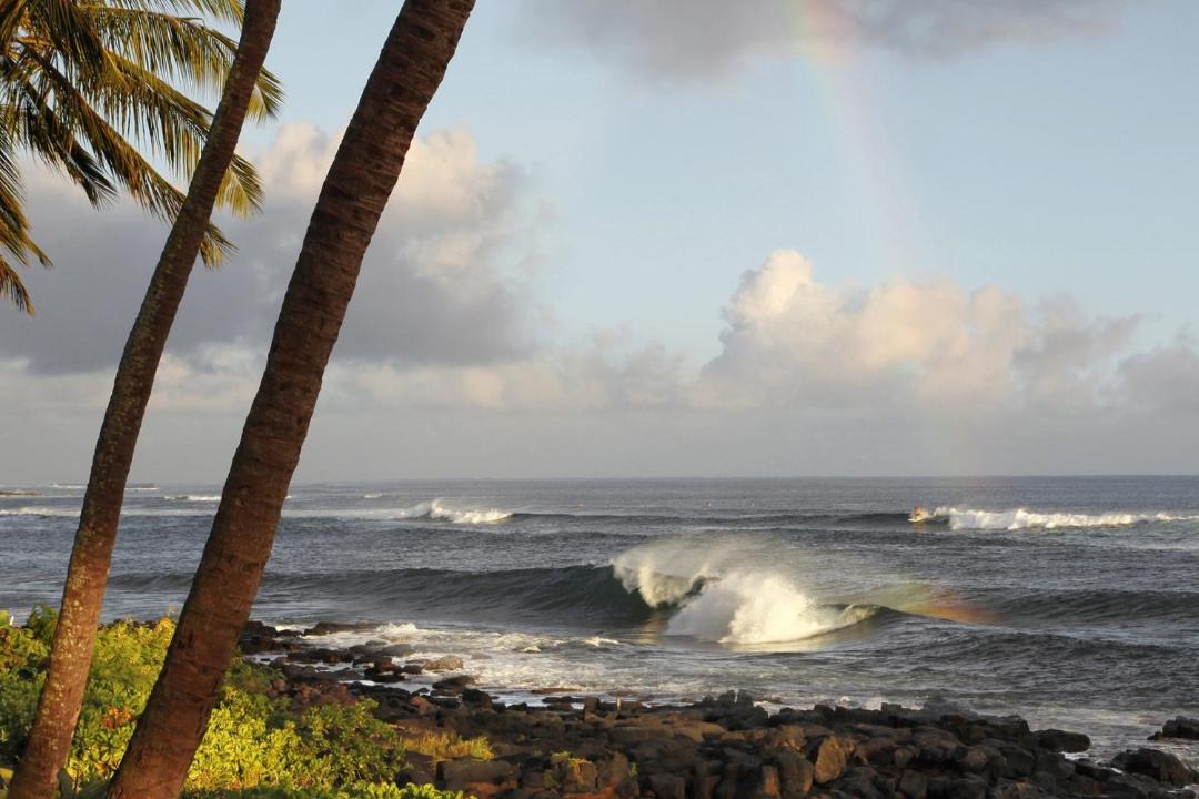 Photo of Others in Poipu