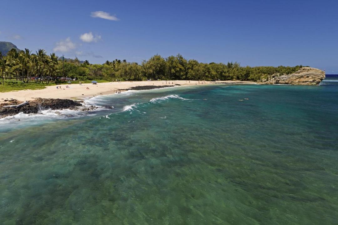 Photo of Others in Poipu