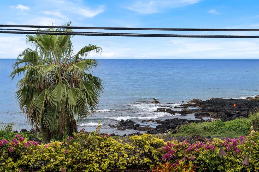Photo of Others in Kailua-Kona