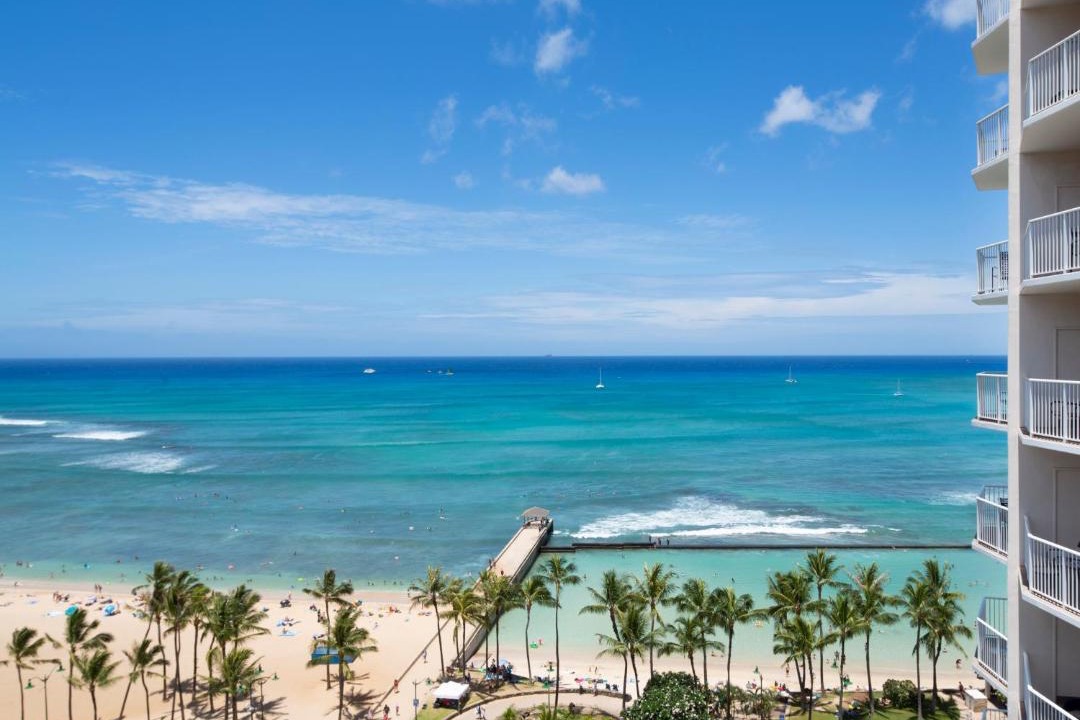 Photo of Others in Waikiki