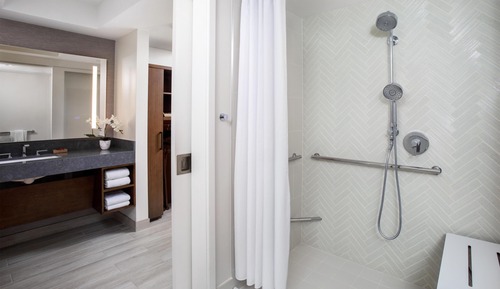 Room, 1 King Bed, Accessible (Shower)