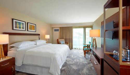 Deluxe Garden View, Guest room, 1 King, Garden view