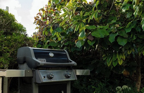 Wailua Hotel | Your Unbeatable Experience! Amazing Suite + Kitchen | Close to Local Attraction