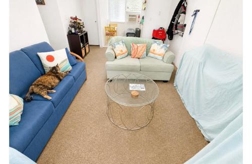 Historic Kailua Village House | SHARE with working host, WiFi, AC, Pool, walk to Downtown, 15 min to airport - Friendly Cats in house