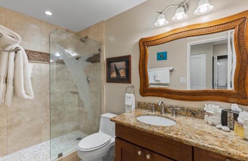 Wailea Apartment | WAILEA EKOLU, #914