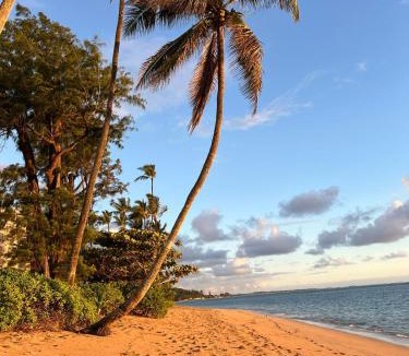 Punaluu Apartment | Wake Up to the Ocean - Beachfront Studio