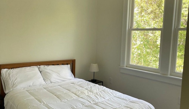 Renovated, Clean 1 bedroom in Forest Hills - B