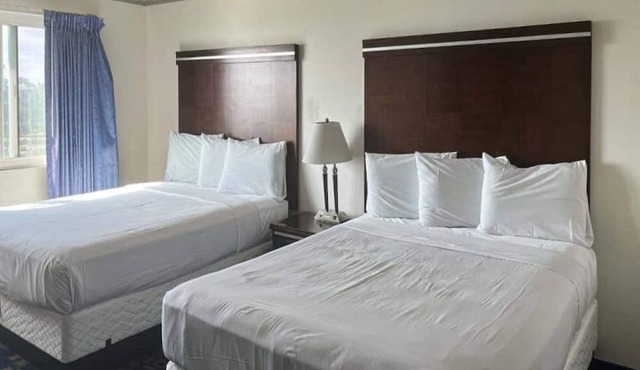 2 Queen Beds|Nsmk|Micfridge