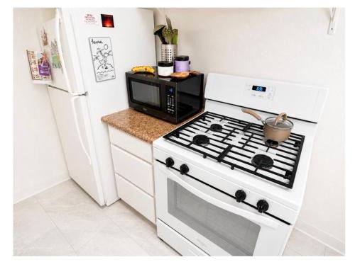 SHARE with working host, WiFi, AC, Pool, walk to Downtown, 15 min to airport - Friendly Cats in house