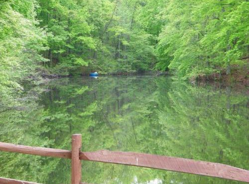 Lake Myers Lakeside Villa 16